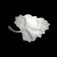Decupare, gravare cnc www.indigoneon.ro