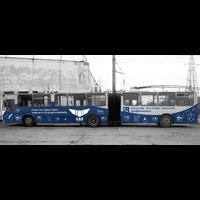 Inscriptionari auto   www.indigoneon.ro