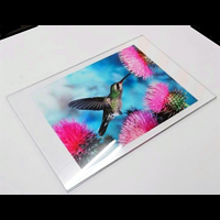 Print pe materiale rigide si in rola www.indigoneon.ro