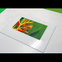 Print pe materiale rigide si in rola www.indigoneon.ro