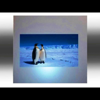 Print pe materiale rigide si in rola www.indigoneon.ro