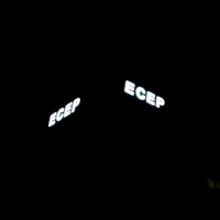 Reclame luminoase cu litere channel www.indigoneon.ro