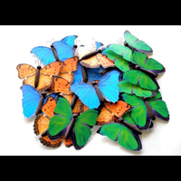 Semne luminoase decorative www.indigoneon.ro