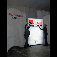 Service si montaje reclame luminoase www.indigoneon.ro