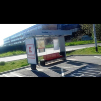 Statii autobuz www.indigoneon.ro